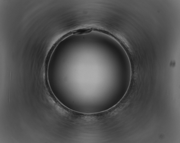 X0000091510888200708241627