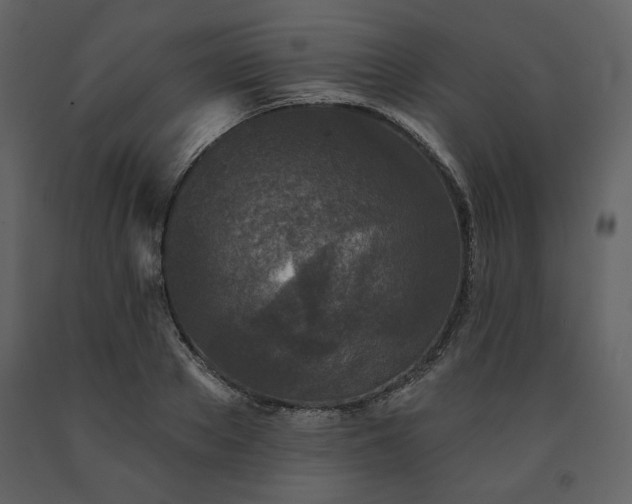 X0000091510889200708241627