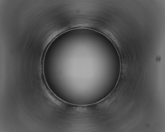 X0000091510890200708241627