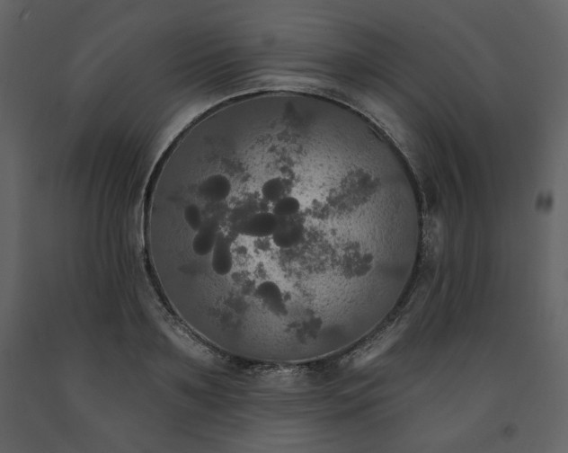 X0000091510891200708241627