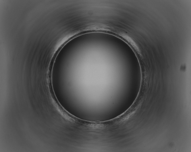 X0000091510893200708241627