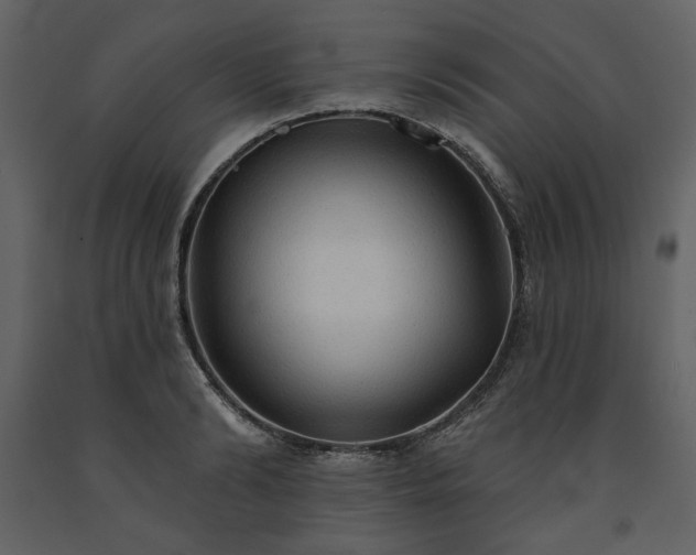 X0000091510894200708241627