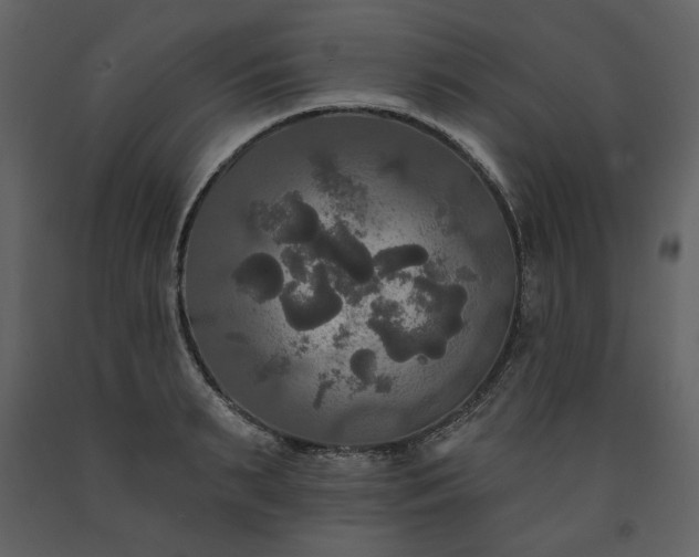 X0000091510895200708241627