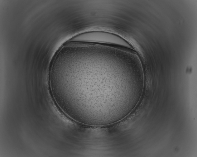 X0000091510896200708241627