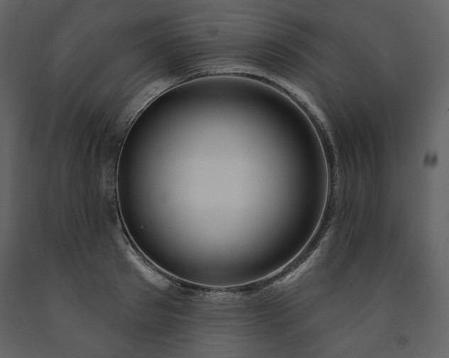 X0000091510897200708241627