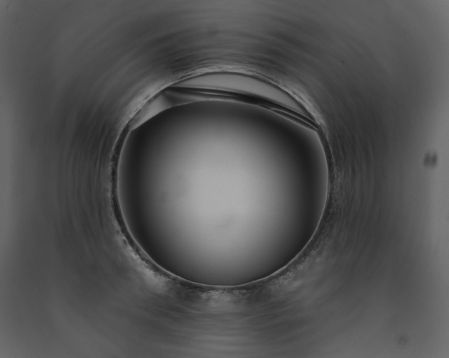 X0000091510898200708241627