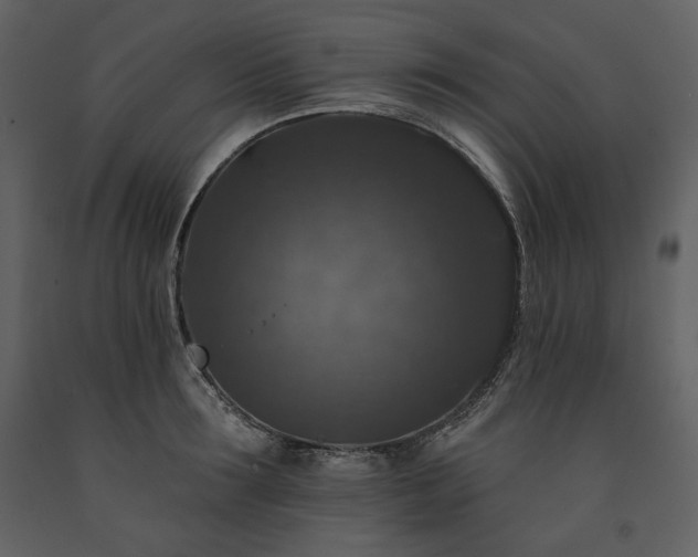 X0000091510899200708241627