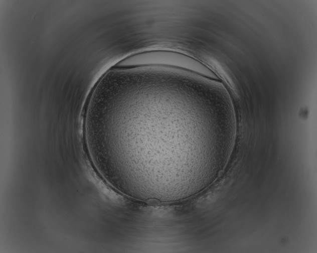 X0000091510900200708241627