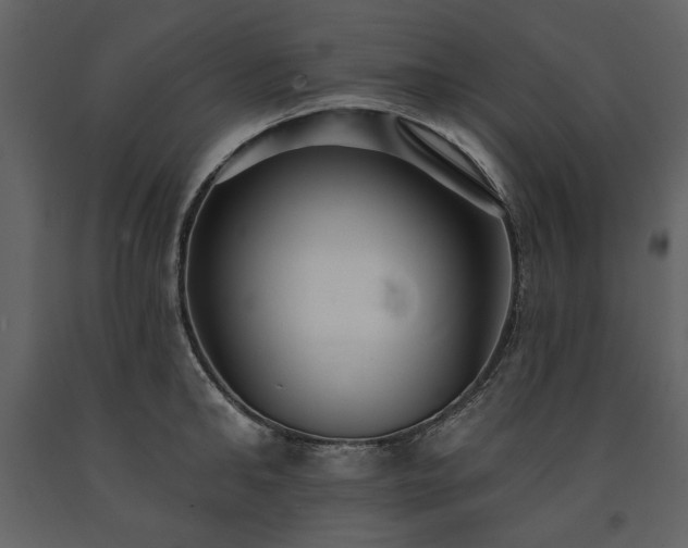 X0000091510902200708241627