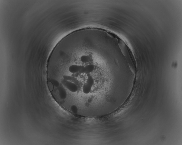 X0000091510903200708241627