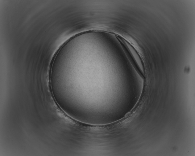 X0000091510904200708241627