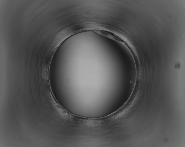 X0000091510905200708241627