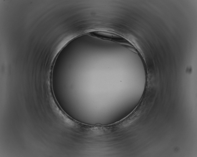 X0000091510906200708241627