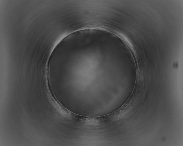 X0000091510907200708241627