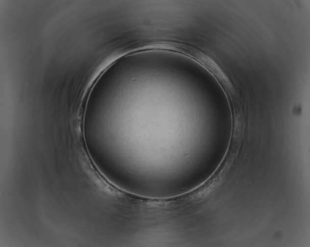 X0000091510908200708241626