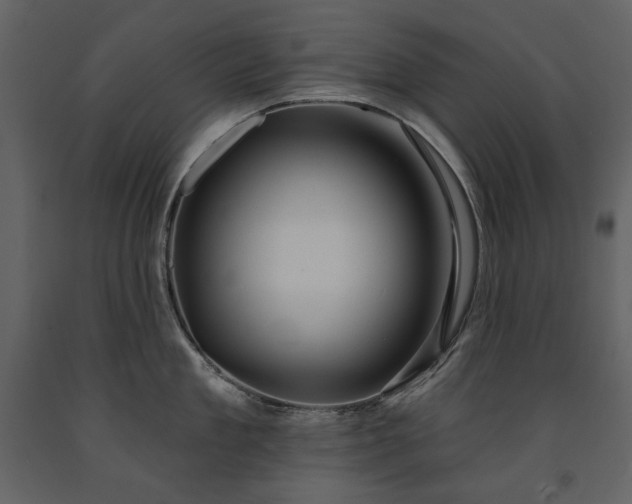 X0000091510909200708241626