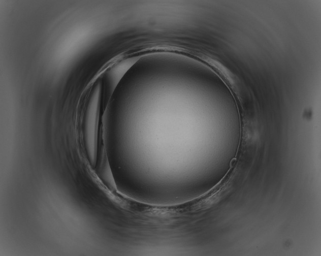 X0000091510910200708241626