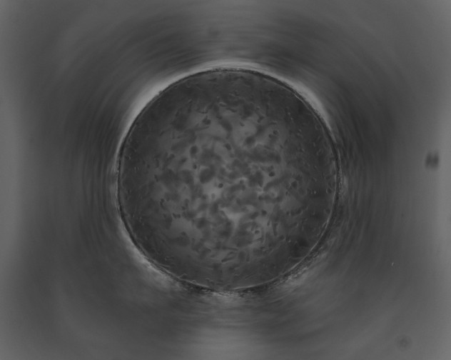 X0000091510911200708241626