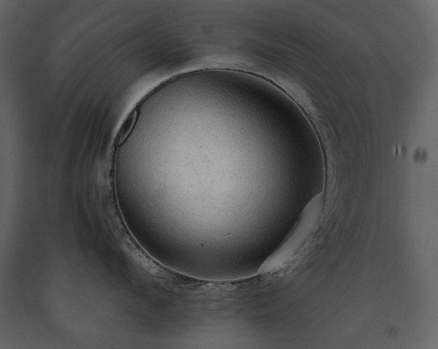 X0000091510912200708241626