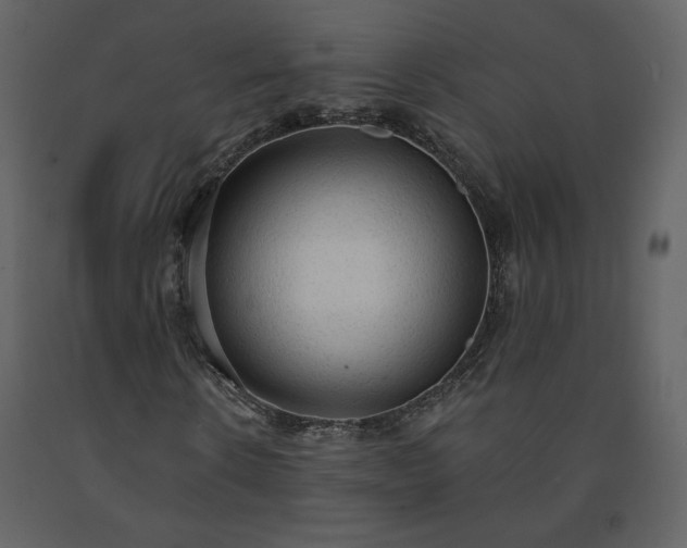 X0000091510914200708241626