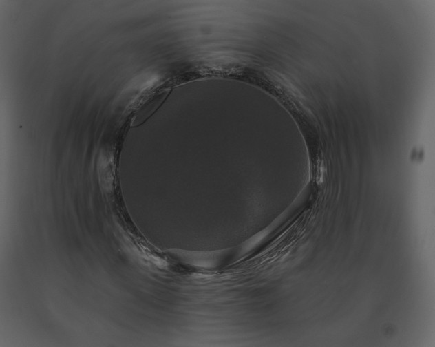 X0000091510915200708241626