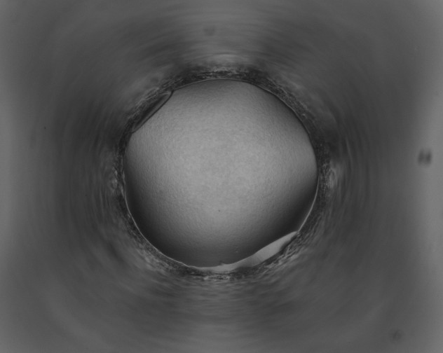 X0000091510916200708241626