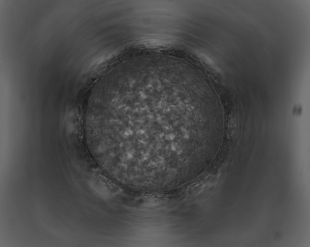 X0000091510917200708241626