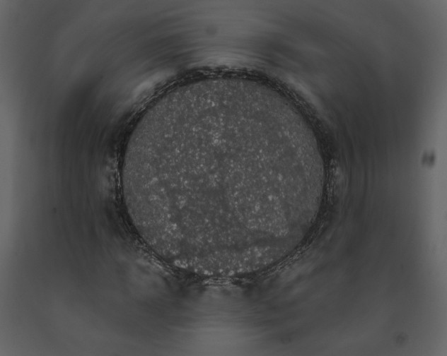 X0000091510918200708241626