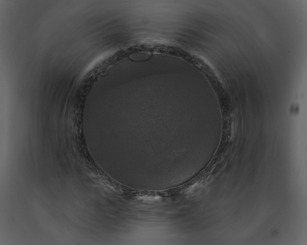 X0000091510919200708241626