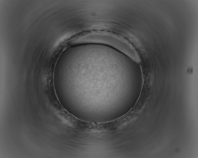 X0000091510920200708241626