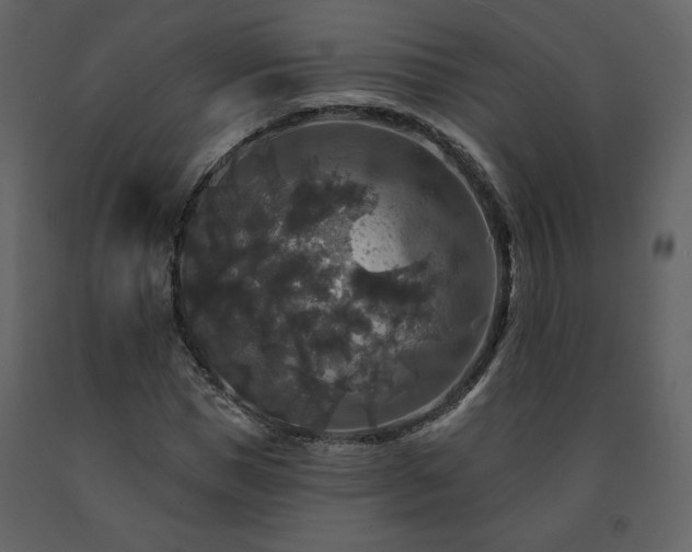 X0000091510921200708241626