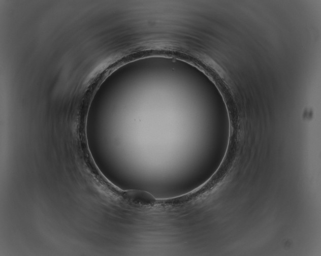 X0000091510922200708241626