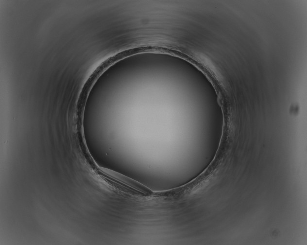 X0000091510924200708241626