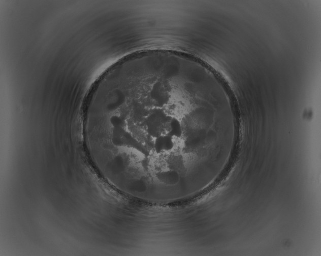 X0000091510925200708241626