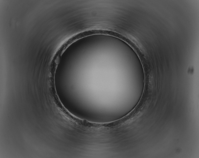 X0000091510926200708241626