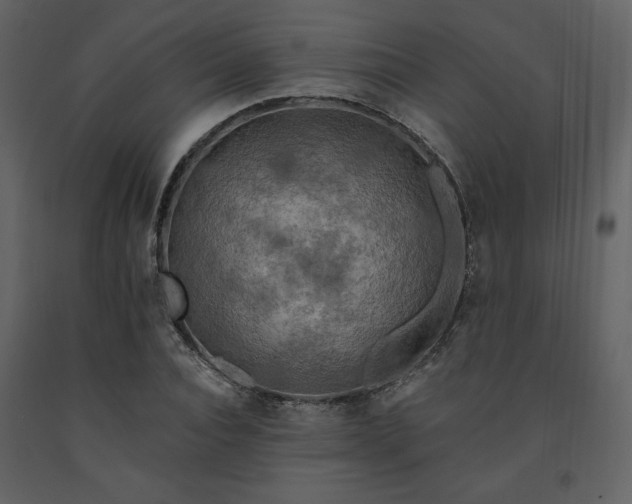 X0000091510928200708241626