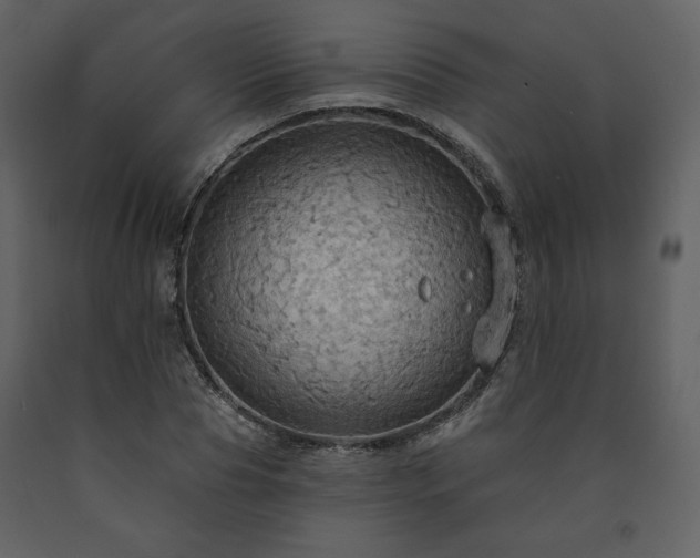 X0000091510929200708241626