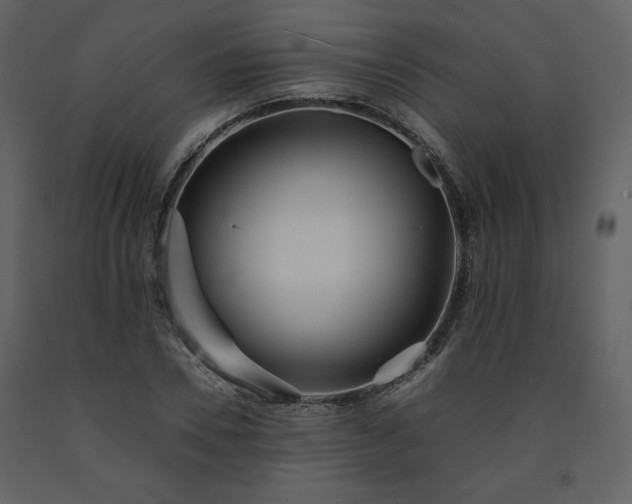 X0000091510930200708241626