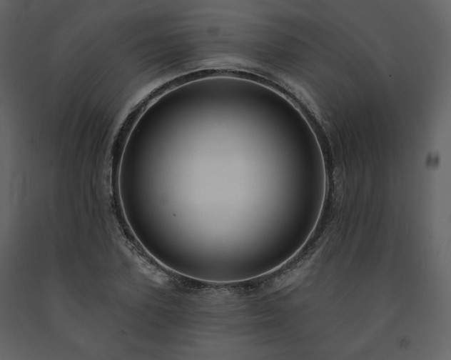 X0000091510931200708241626