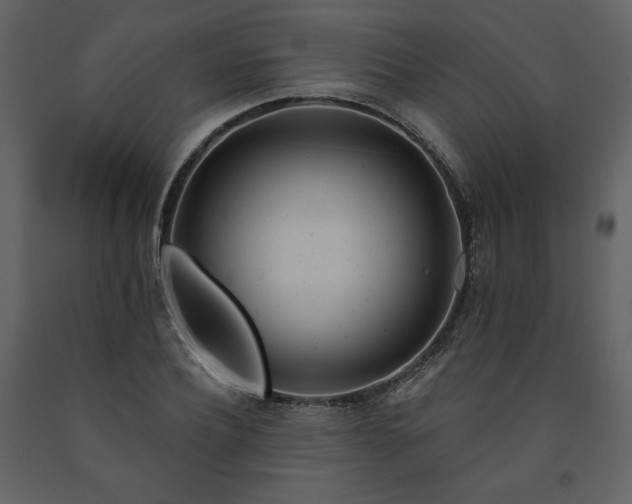 X0000091510932200708241626