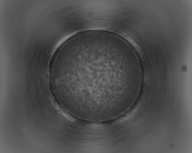 X0000091510933200708241626