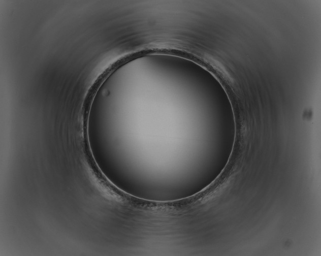 X0000091510934200708241626