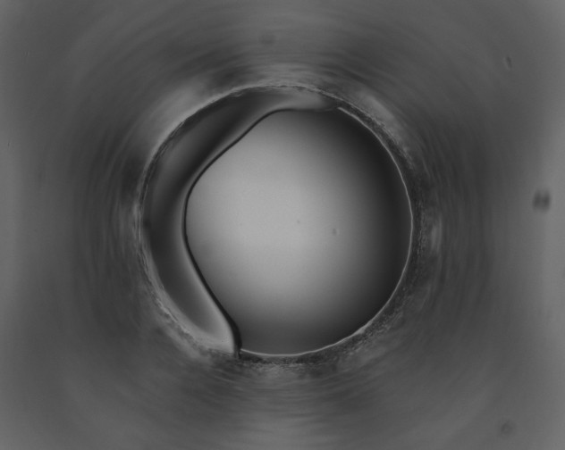 X0000091510936200708241626