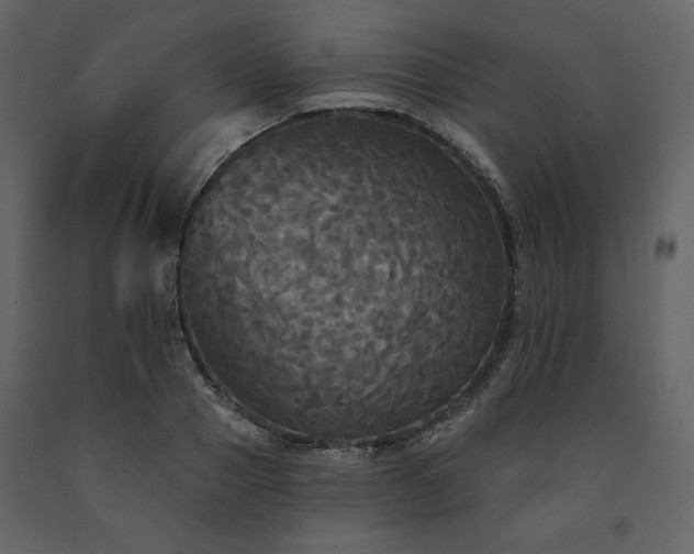 X0000091510937200708241626