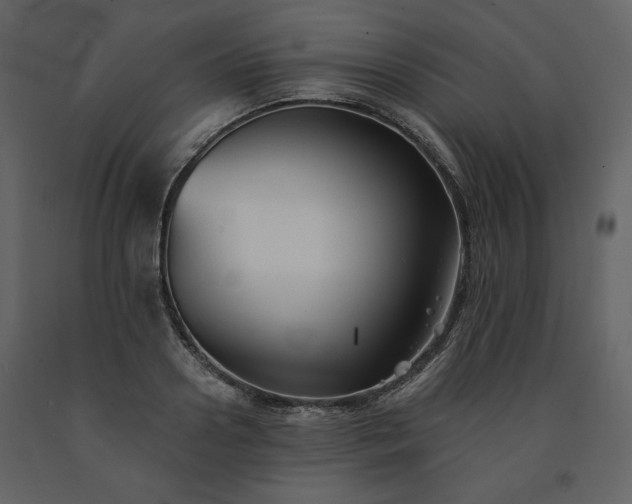 X0000091510938200708241626