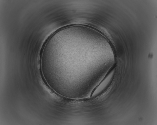 X0000091510939200708241626