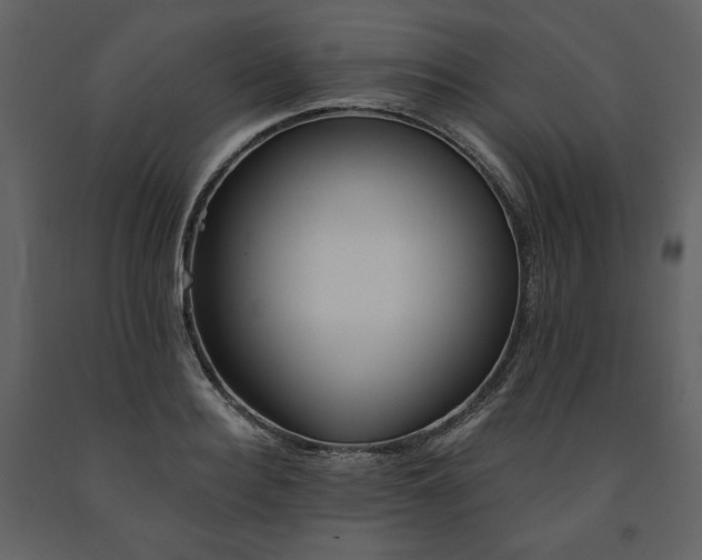 X0000091510940200708241626