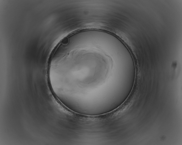 X0000091510941200708241626