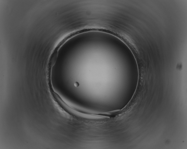 X0000091510942200708241626