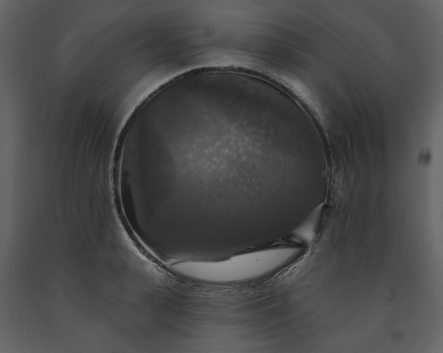 X0000091510943200708241626